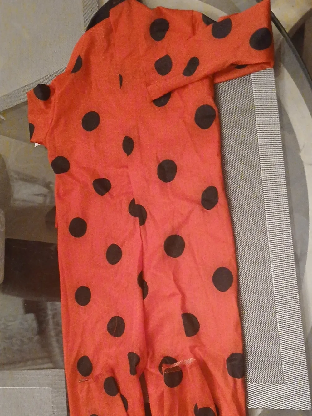 Ladybug Costume Jumpsuit And Accessories